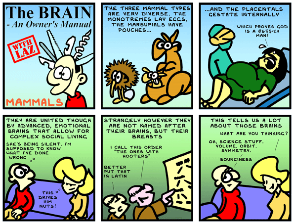 comic strip