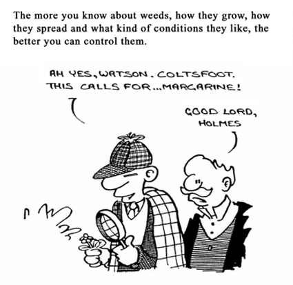 cartoon